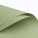  (58*58cm) Giấy Satin Gói Hoa Mờ Đặc Cao Cấp Không Thấm Nước, Màu Đẹp Sắc Nét. 