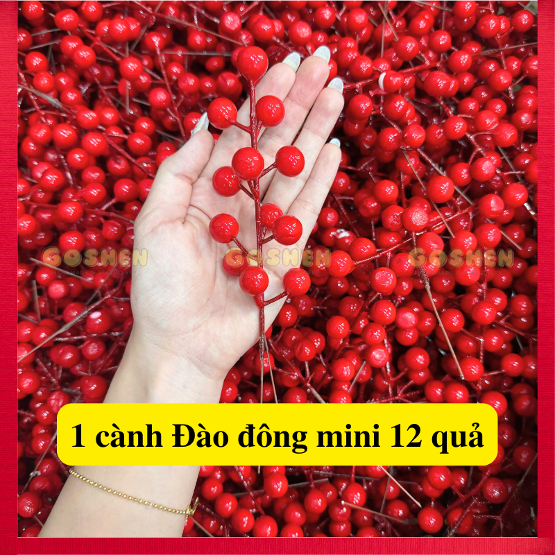  Phụ Kiện Trang Trí Tết, Đào Đông, Hoa Trạng Nguyên, Dây Treo, Liếng Treo Tết Các Loại 
