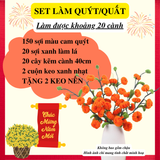  Set Nguyên Liệu Làm Hoa Mai, Hoa Đào, Hoa Sen, Cành Quýt 