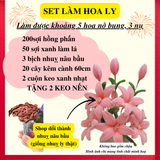  Set Nguyên Liệu Làm Hoa Mai, Hoa Đào, Hoa Sen, Cành Quýt 