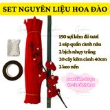  Set Nguyên Liệu Làm Hoa Mai, Hoa Đào, Hoa Sen, Cành Quýt 