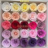  (Lẻ 1 Bông) Hoa Sáp 7 Lớp Cuộn - Ecudo 7 Lớp. Foam Siêu Đẹp - Lọai 1 