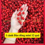  Cành Đào Đông, Nhánh Đào Đông Trang Trí Tết, Giỏ Quà Bó Hoa, Vòng Nguyệt Quế 