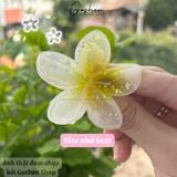  (4cm, 6cm) Kẹp Tóc Hoa Sứ Mini, Kẹp Hoa Size Nhỏ 4cm 6cm Kẹp Mái 