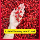 Phụ Kiện Trang Trí Tết, Đào Đông, Hoa Trạng Nguyên, Dây Treo, Liếng Treo Tết Các Loại 
