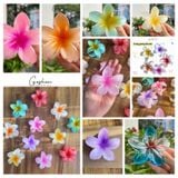  (Màu Mới) Kẹp Hoa Sứ Đủ Màu, Kẹp Hoa Sứ Tráng Gương, Hologram 8cm 