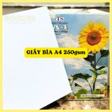  Giấy Bìa Cứng A4 Định Lượng 250gsm Dùng Trong In Ấn, Trang Trí 