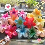  (Màu Mới) Kẹp Hoa Sứ Đủ Màu, Kẹp Hoa Sứ Tráng Gương, Hologram 8cm 
