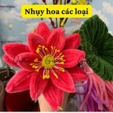  Nhụy hoa, nhuỵ bột làm hoa mai, đào, mẫu đơn, hoa handmade 