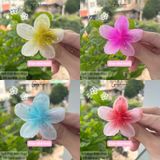  (4cm, 6cm) Kẹp Tóc Hoa Sứ Mini, Kẹp Hoa Size Nhỏ 4cm 6cm Kẹp Mái 