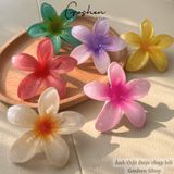  (Nhỏ) Kẹp Hoa Sứ Mini 4cm, 6cm, Kẹp Mái, Kẹp Một Bên Tóc 