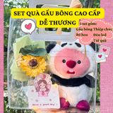  (Hỏa Tốc) Quà Gấu Bông, Bó Hoa Tặng Người Yêu, Bạn Bè Dịp Sinh Nhật, Lễ Tình Nhân 