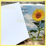  Giấy Bìa Cứng A4 Định Lượng 250gsm Dùng Trong In Ấn, Trang Trí 