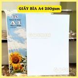  Giấy Bìa Cứng A4 Định Lượng 250gsm Dùng Trong In Ấn, Trang Trí 