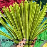  Kẽm Nhung Loại 1 Dày Đẹp Làm Hoa, Làm Đồ Handmade 