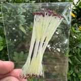  Nhụy hoa, nhuỵ bột làm hoa mai, đào, mẫu đơn, hoa handmade 