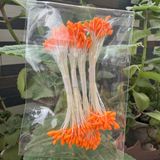  Nhụy hoa, nhuỵ bột làm hoa mai, đào, mẫu đơn, hoa handmade 