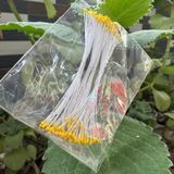  Nhụy hoa, nhuỵ bột làm hoa mai, đào, mẫu đơn, hoa handmade 