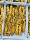  Sâm Tươi Hàn Quốc 12 - 14 Củ 1kg 