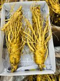  Sâm Tươi Hàn Quốc 4 Củ/kg 