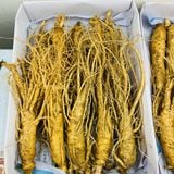  Sâm Tươi Hàn Quốc Từ 10 Đến 12 Củ/kg 