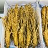 Sâm Tươi Hàn Quốc Từ 10 Đến 12 Củ/kg