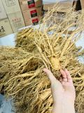  Sâm Tươi Hàn Quốc 6 Củ/kg 