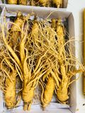  Sâm Tươi Hàn Quốc 8 củ/kg 