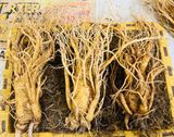  Sâm Tươi Hàn Quốc 3 Củ/kg 6 Năm Tuổi 