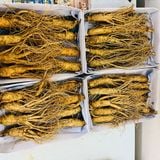  Sâm Tươi Hàn Quốc Từ 10 Đến 12 Củ/kg 