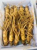  Sâm Tươi Hàn Quốc 12 - 14 Củ 1kg 