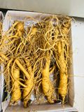  Sâm Tươi Hàn Quốc 8 củ/kg 