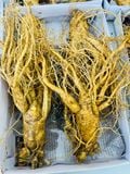  Sâm Tươi Hàn Quốc 4 Củ/kg 