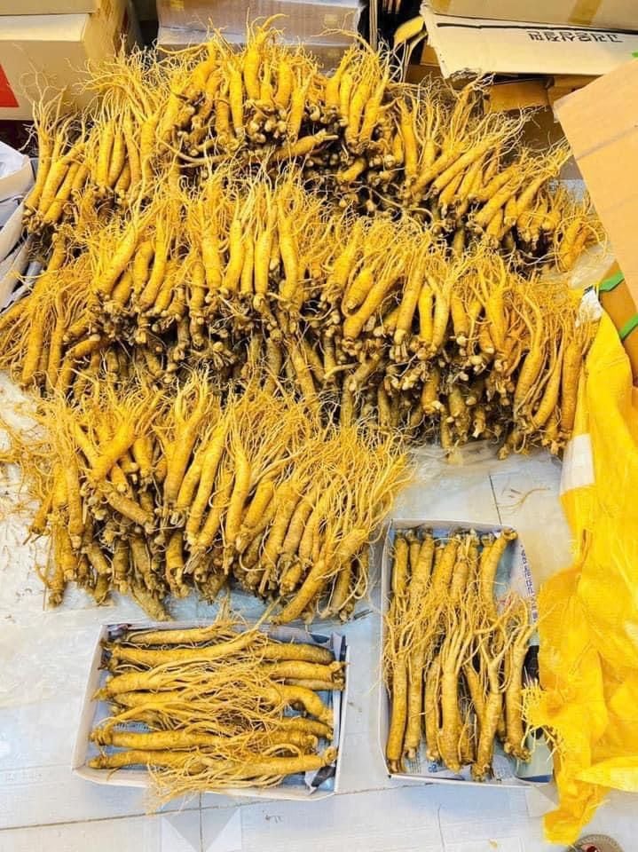  Sâm Tươi Hàn Quốc Hầm Gà 