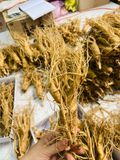  Sâm Tươi Hàn Quốc 6 Củ/kg 