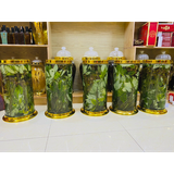  Bình Rượu Lá Và Hoa Sâm Ngọc Linh 25L 