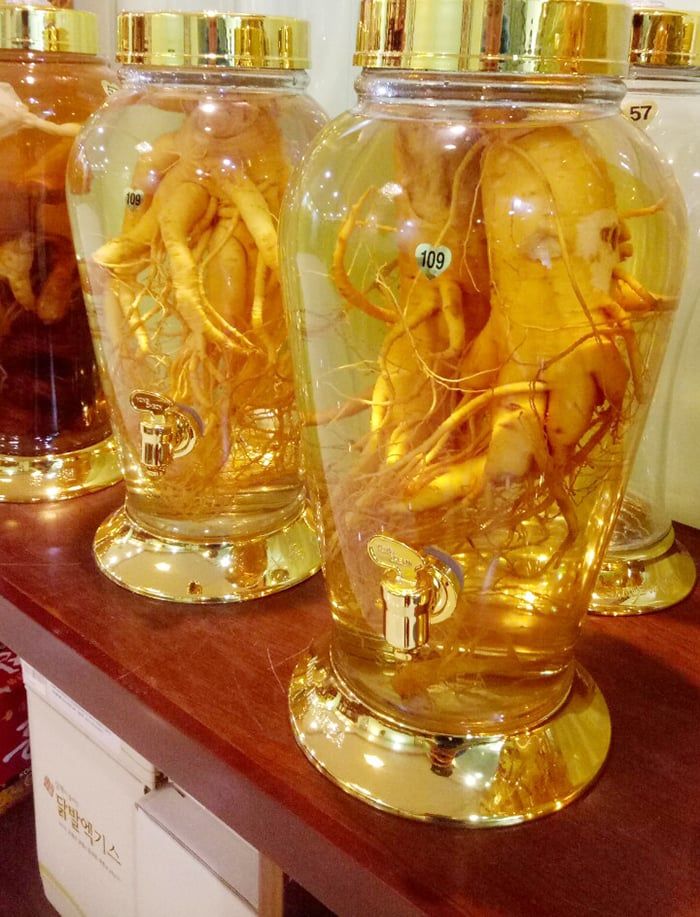  Bình Rượu N109 Ngâm Sâm Hàn Quốc 5,5 Lít 