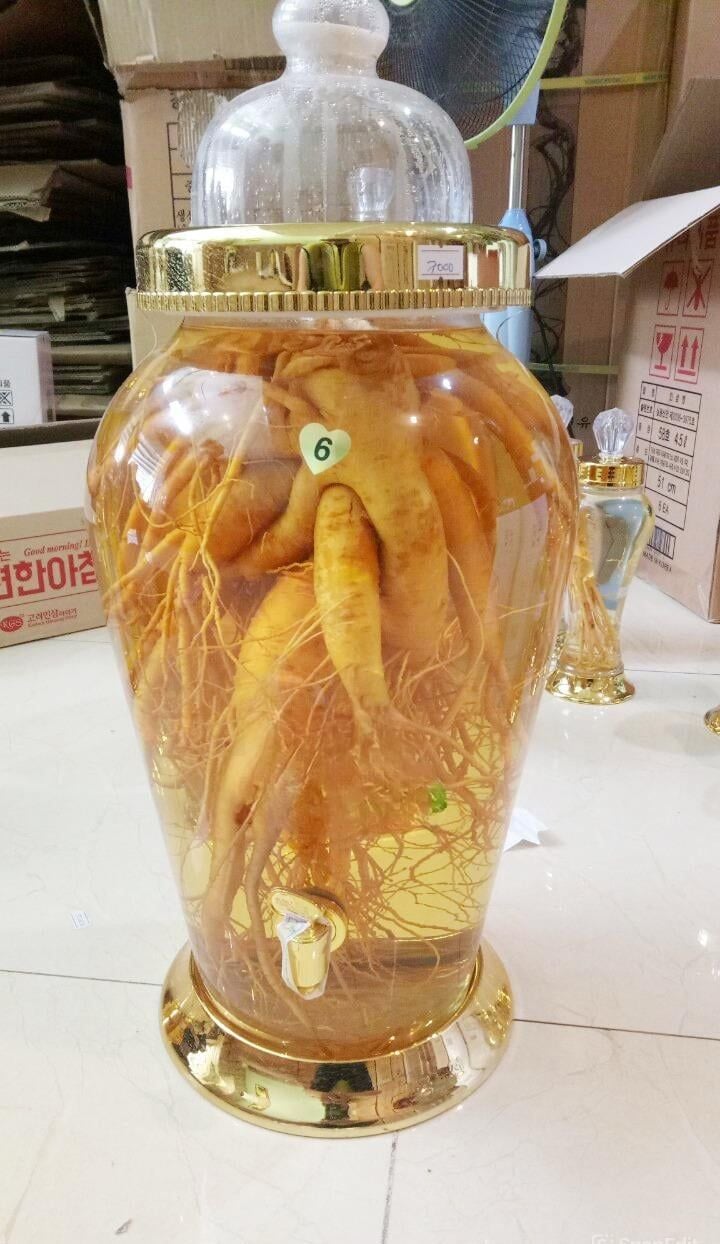  Rượu Sâm Hàn Quốc Tươi Loại 13,2 Lít 