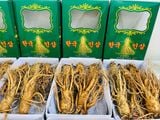  Sâm Tươi Hàn Quốc 5 Củ/kg 
