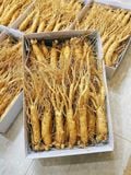  Sâm Tươi Hàn Quốc Hầm Gà 
