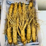  Sâm Tươi Hàn Quốc Từ 10 Đến 12 Củ/kg 