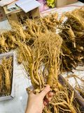  Sâm Tươi Hàn Quốc 6 Củ/kg 