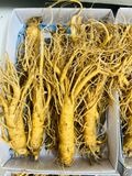  Sâm Tươi Hàn Quốc 8 củ/kg 