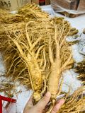  Sâm Tươi Hàn Quốc 6 Củ/kg 
