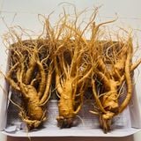  Sâm Tươi Hàn Quốc 3 Củ/kg 6 Năm Tuổi 
