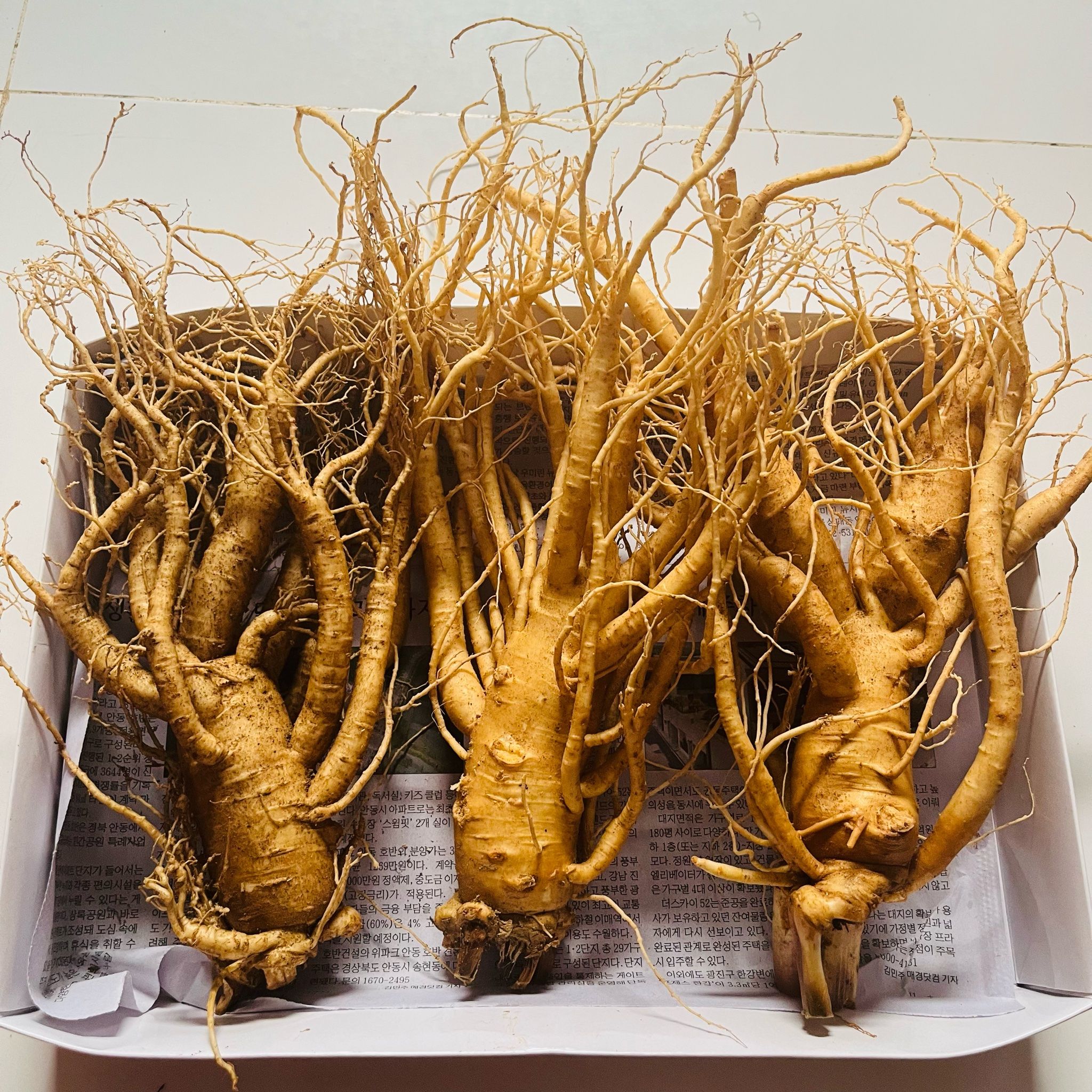  Sâm Tươi Hàn Quốc 3 Củ/kg 6 Năm Tuổi 