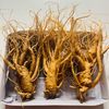 Sâm Tươi Hàn Quốc 3 Củ/kg 6 Năm Tuổi