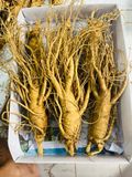  Sâm Tươi Hàn Quốc 6 Củ/kg 