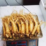  Sâm Tươi Hàn Quốc Hầm Gà 