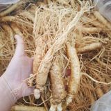  Sâm Tươi Hàn Quốc Hầm Gà 
